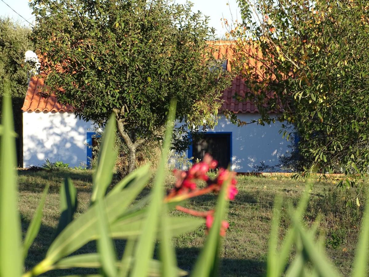 Quinta Das Teimosas By Stay In Alentejo Cercal do Alentejo Kültér fotó